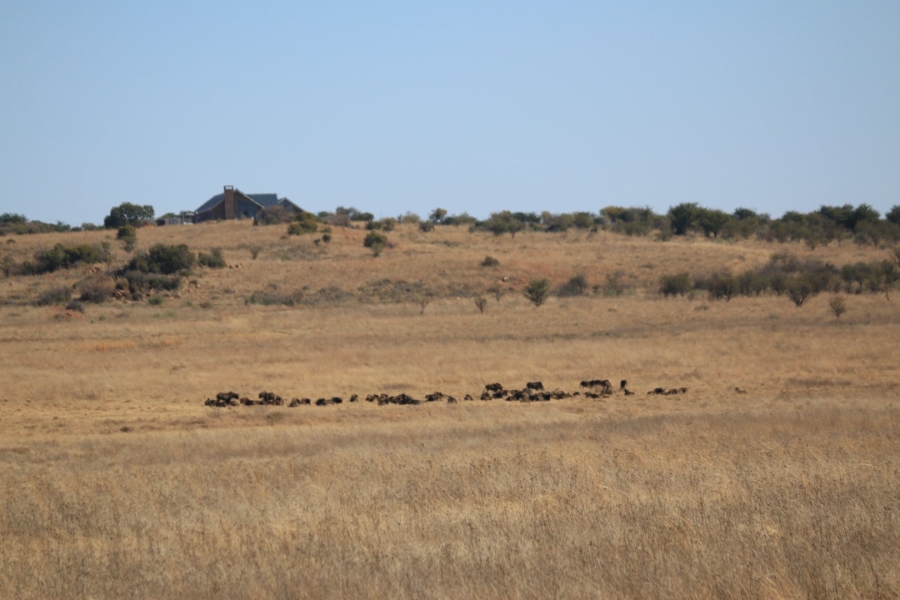 Commercial Property for Sale in Lekwena Wildlife Estate North West